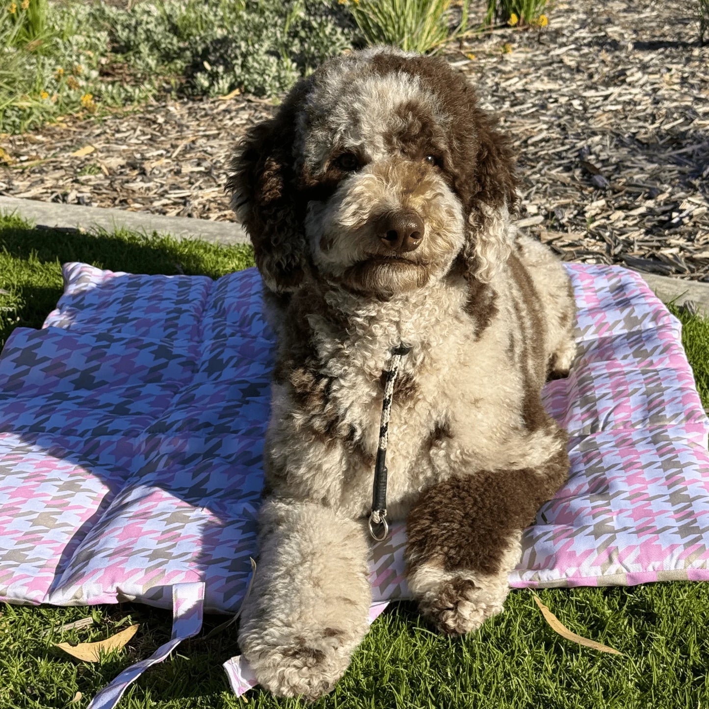 Houndstooth Belle - Travel Mat