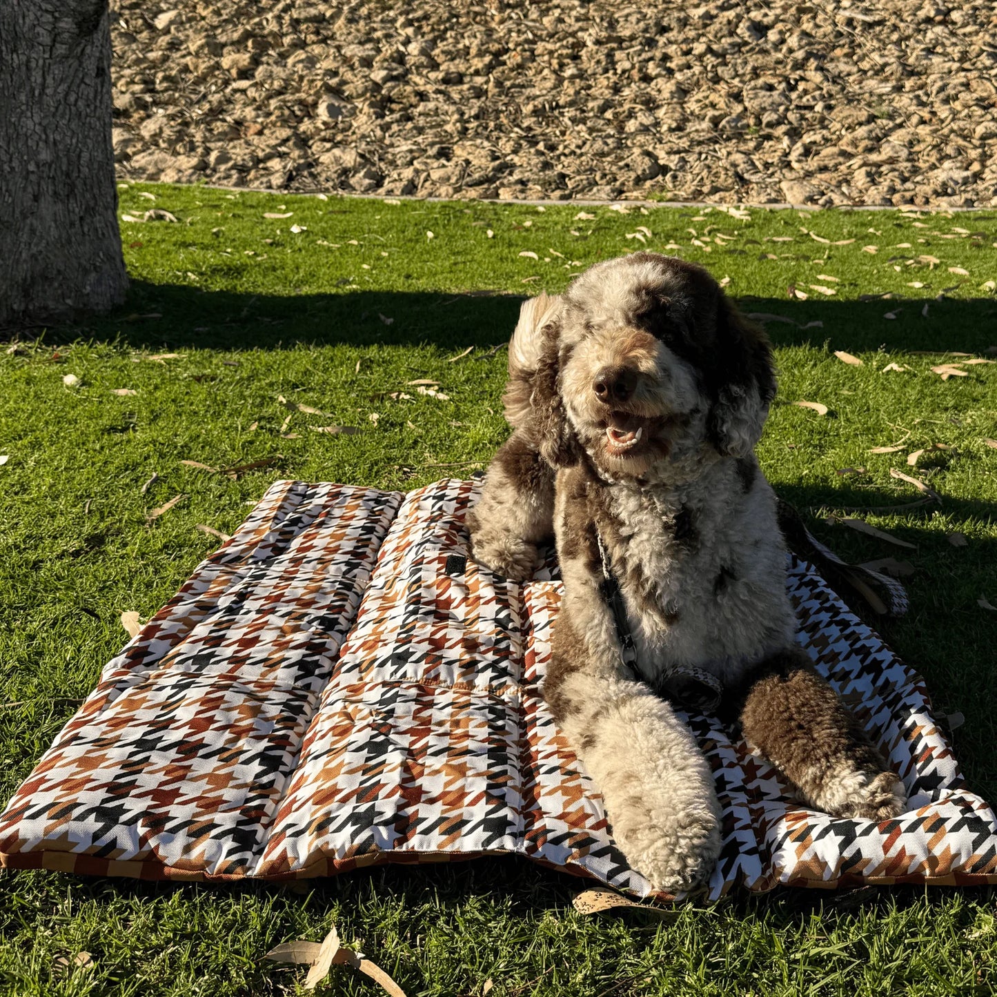 Houndstooth Beau - Travel Mat