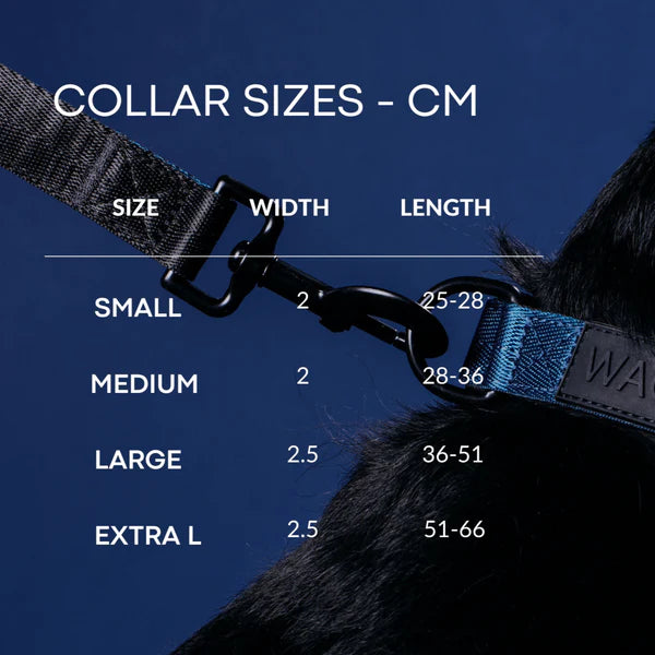 WAGD Dog Collar
