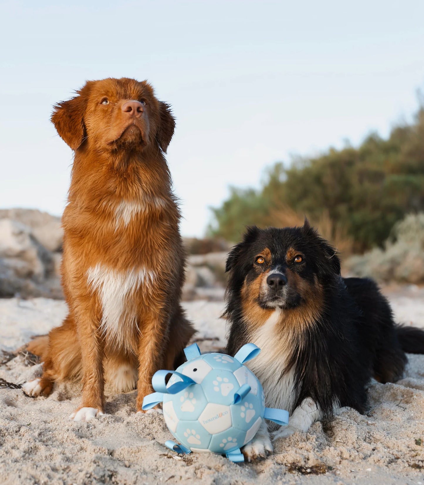 Grab Tab Soccer Ball