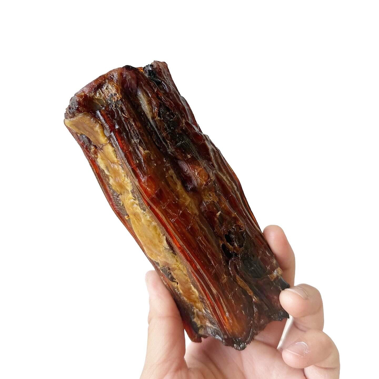 Kangaroo Tail (~20cm)