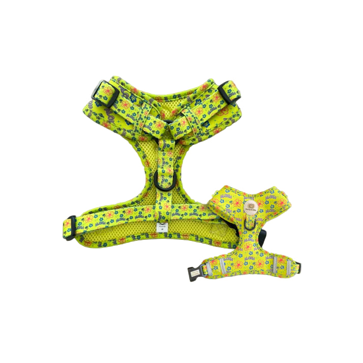 Aloha Adjustable Harness