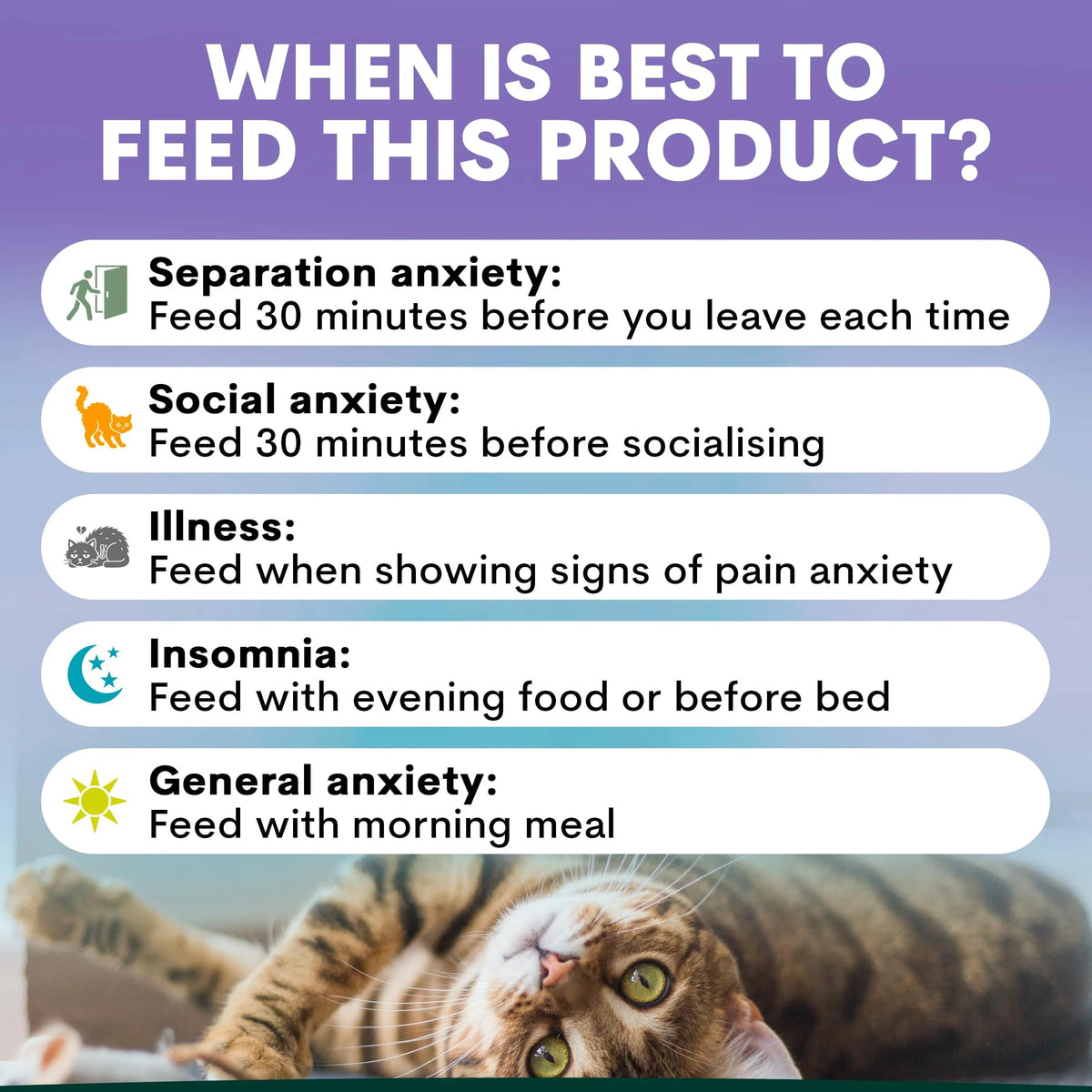 PetzPark - Stress + Anxiety Supplement For Cats