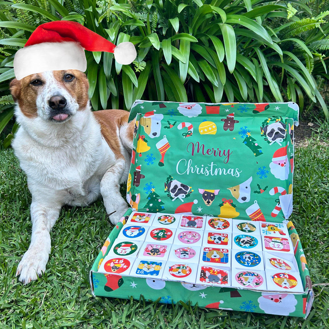 Pre Order - Doggy Christmas Advent Calendar