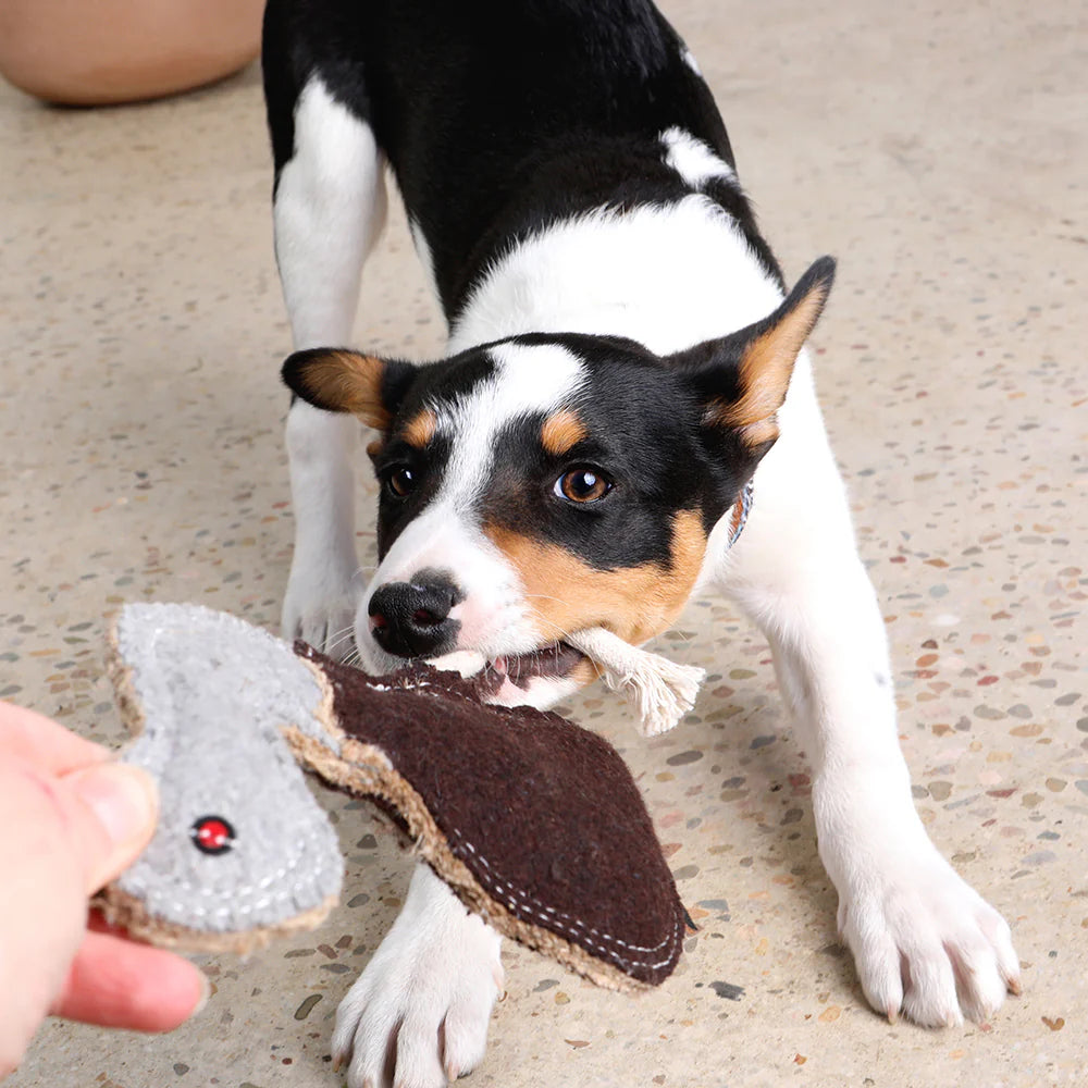 Outback Tails Emu Toy