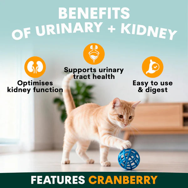 PetzPark - Urinary + Kidney Supplement For Cats