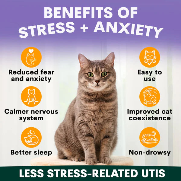 PetzPark - Stress + Anxiety Supplement For Cats