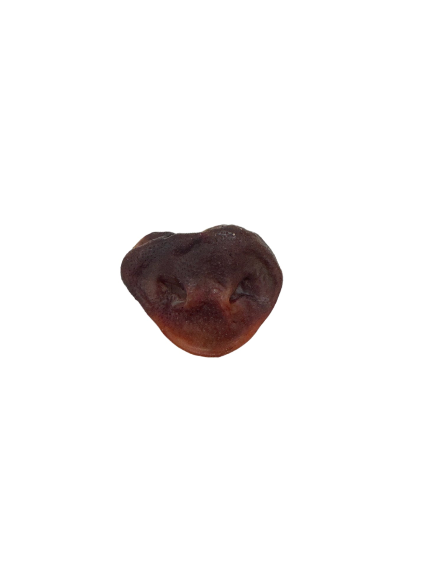 Pig Snout