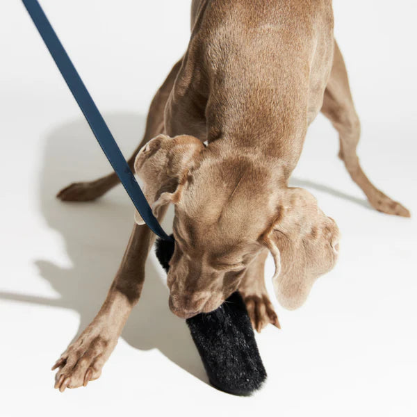 'Squeakster' Tug Toy