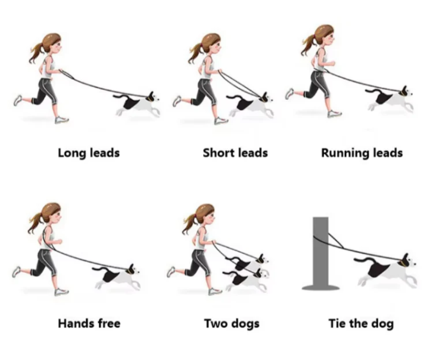 Rope Leashes - 6 styles