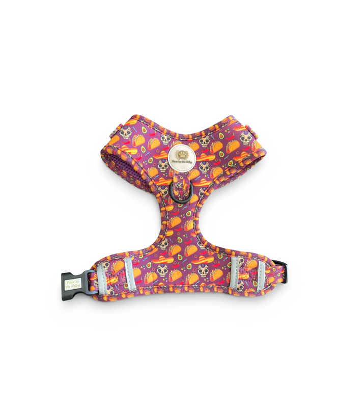 Taco Fiesta Adjustable Harness