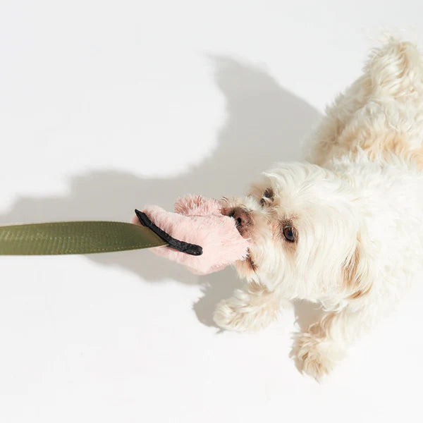 'Squeakster' Tug Toy