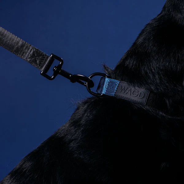 WAGD Dog Collar