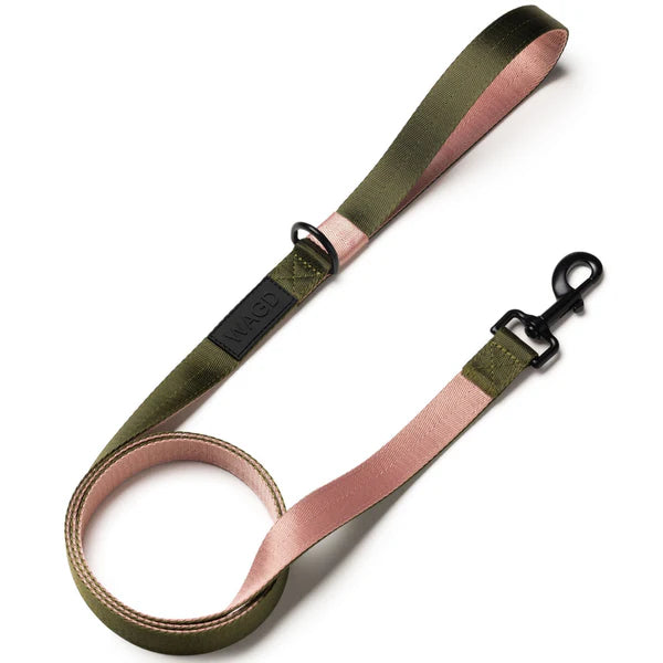 Signature Dog Lead