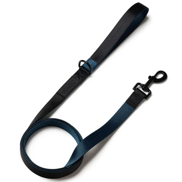 Signature Dog Lead