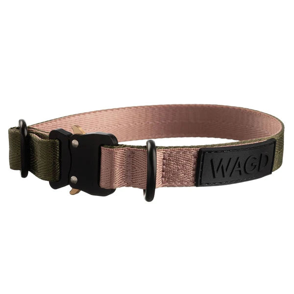 WAGD Dog Collar