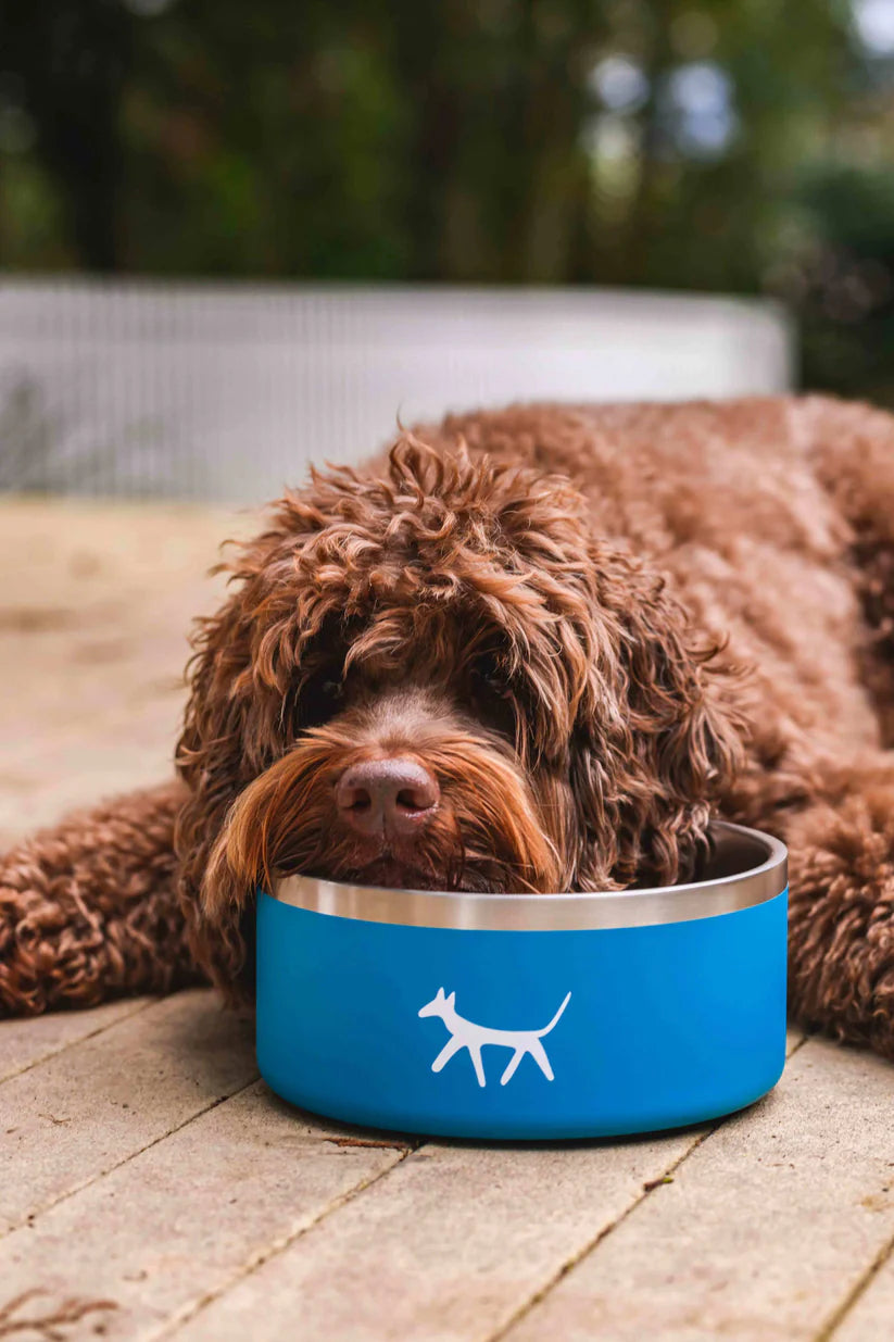 THE DOG BOWL 32oz