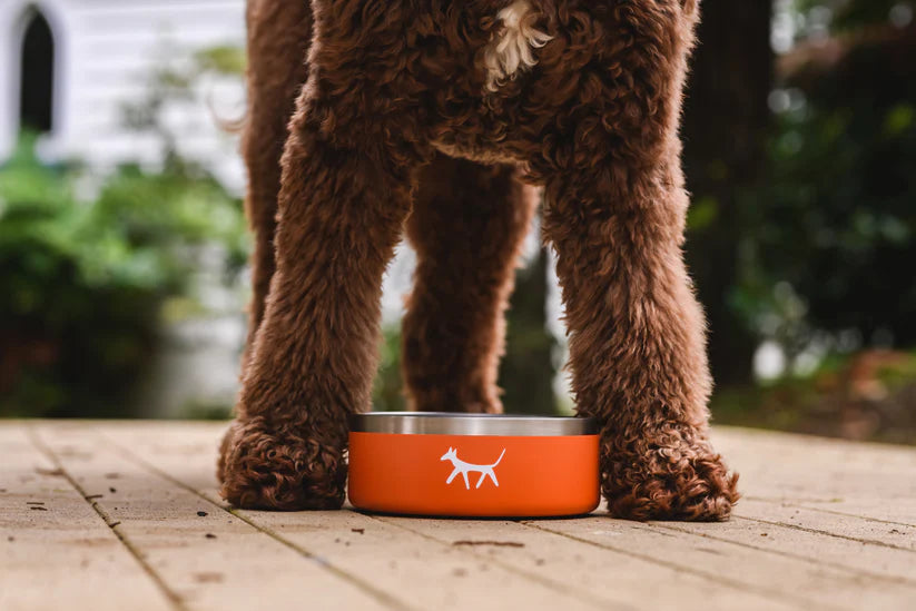 THE DOG BOWL 32oz