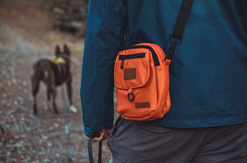 THE DOG WALKING BAG