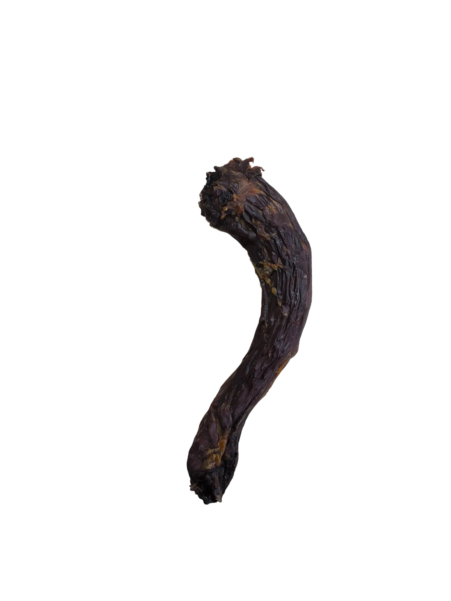 Turkey Neck (~20cm)