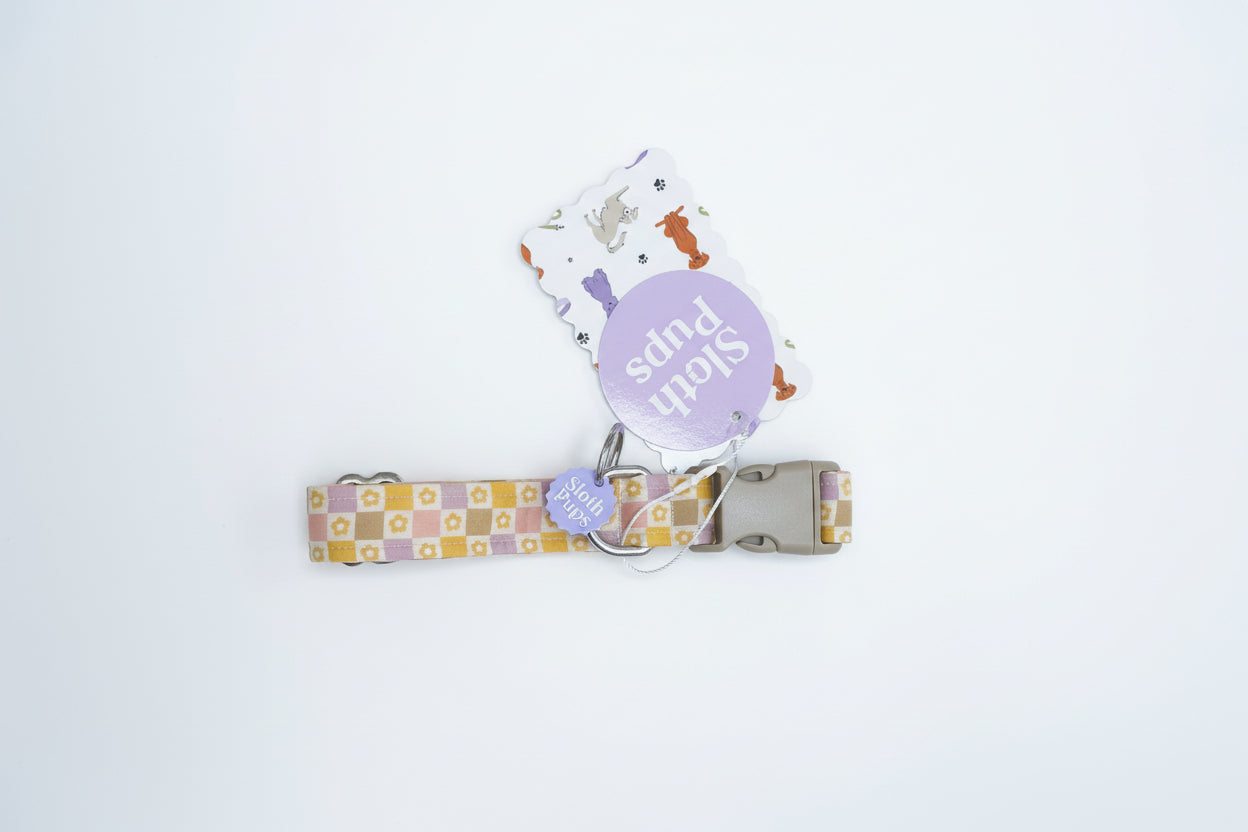 NATURAL CHECKER DAISIES (PLASTIC BUCKLE)
