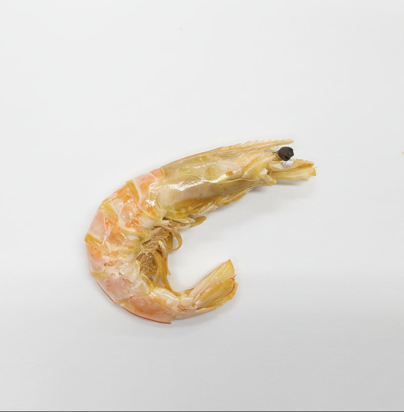 Dehydrated Prawns