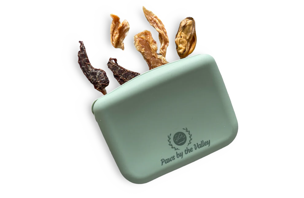 Silicone Training Pouch