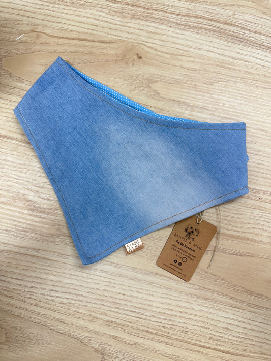 BWSLGE (BLUE/WHITE SPOT) - LARGE