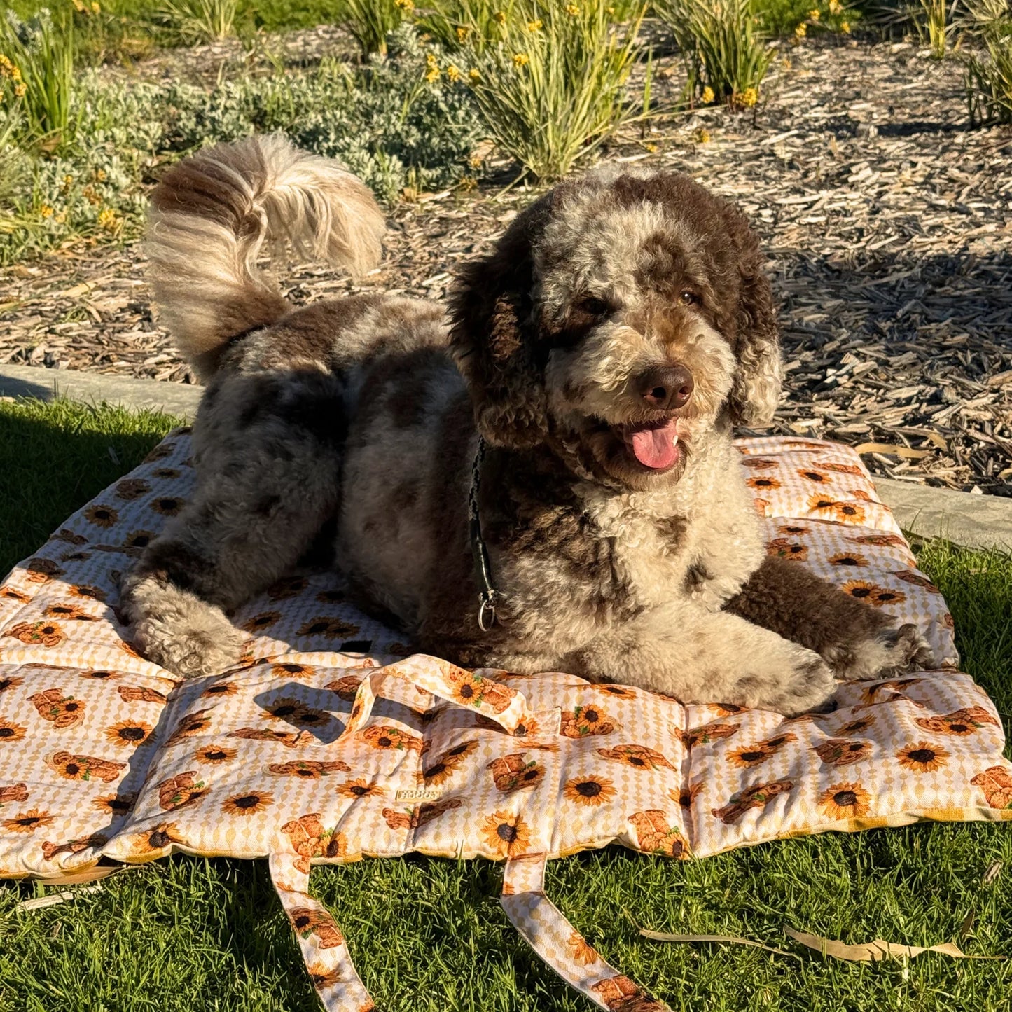 Sunflower Bear - Travel Mat