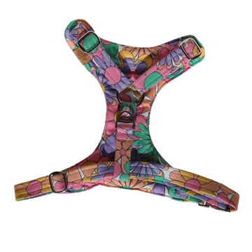 DAISY LABEL - PADDED HARNESS