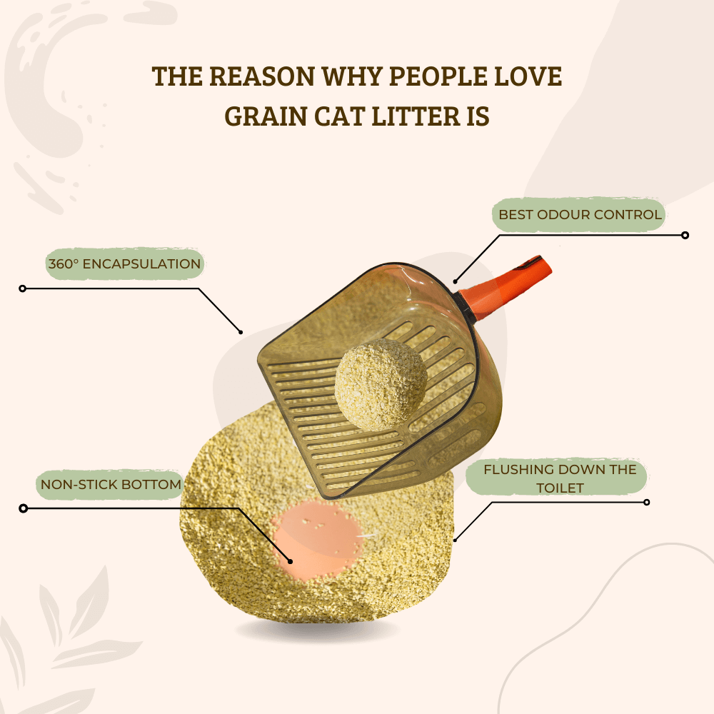 Grain Cat Litter 4kg