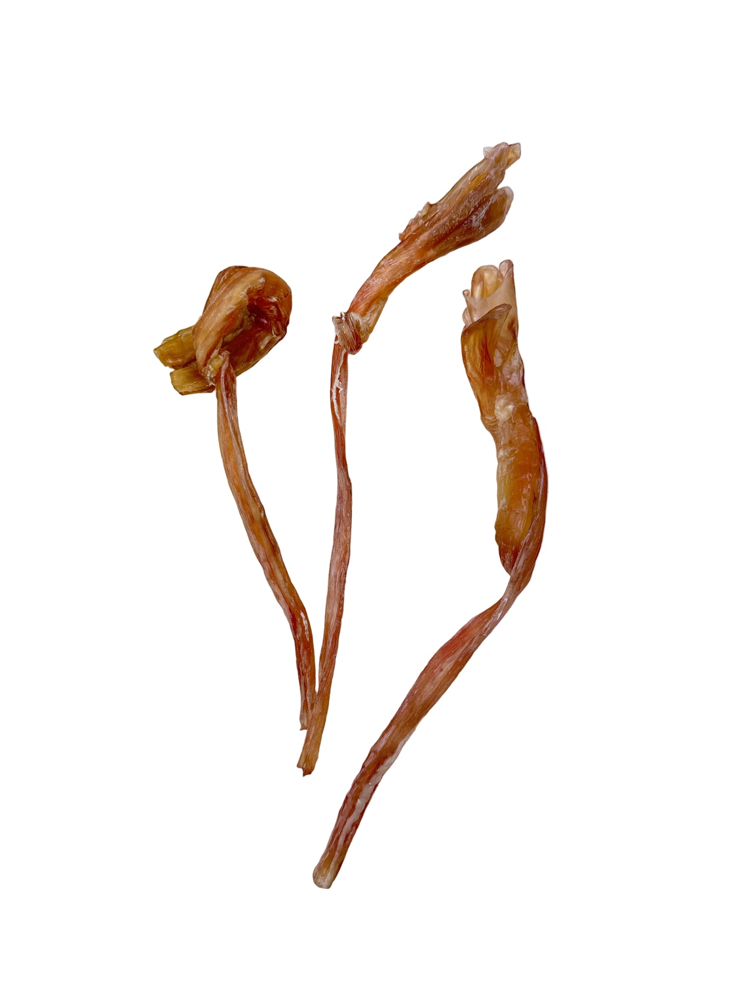 Beef Achilles Tendon