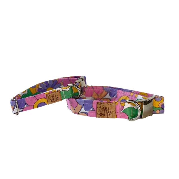 DAISY LABEL - COLLAR