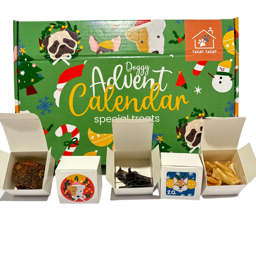 Doggy Christmas Advent Calendar