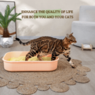 Grain Cat Litter 4kg