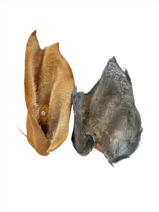 Beef Ear with Fur