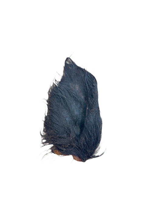 Wild Boar Ear with Fur