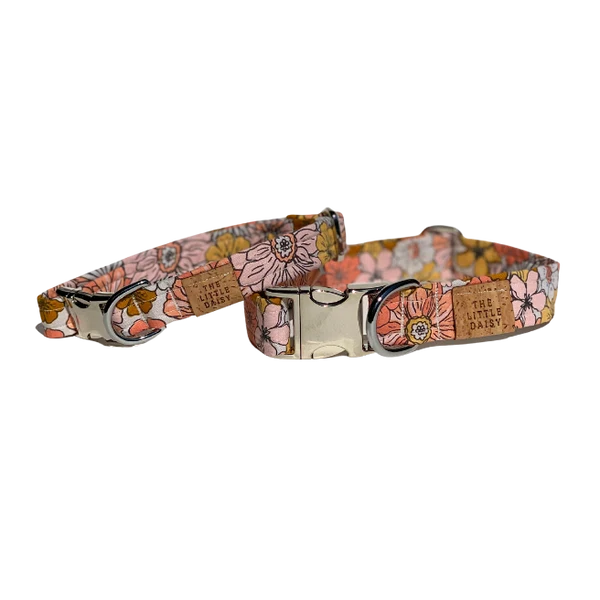 DAISY LABEL - COLLAR