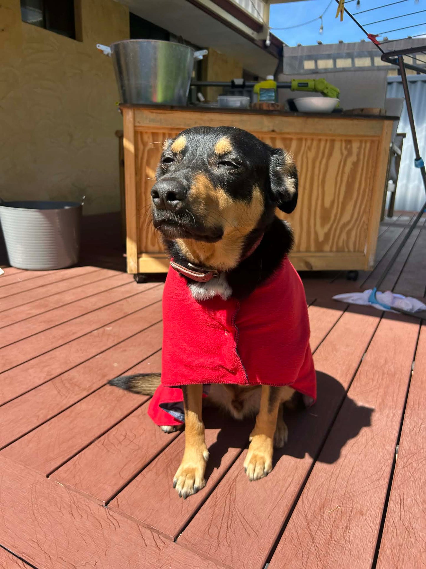 Reversible Fleece Coat By Loz