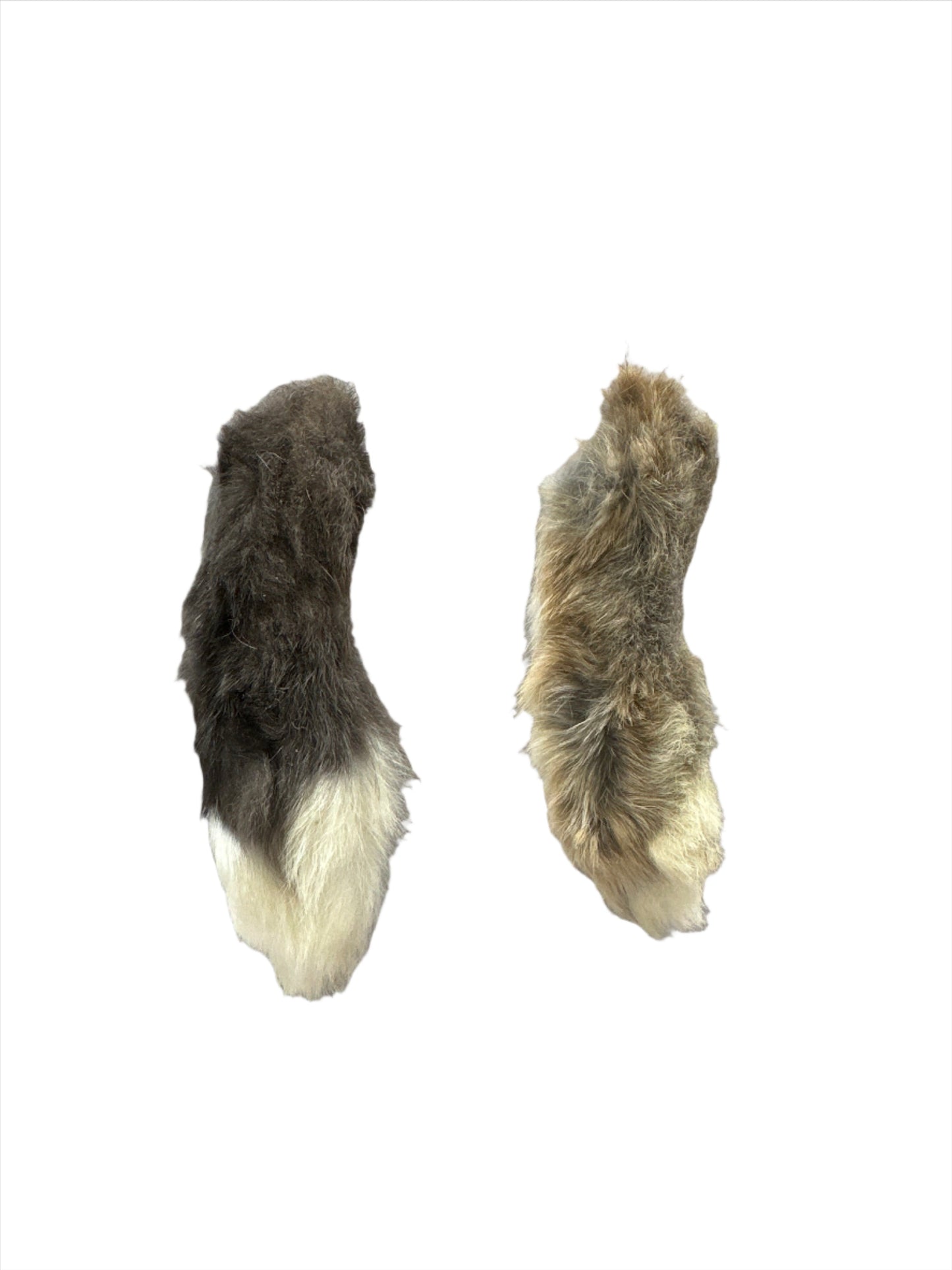 Rabbit Feet with Fur