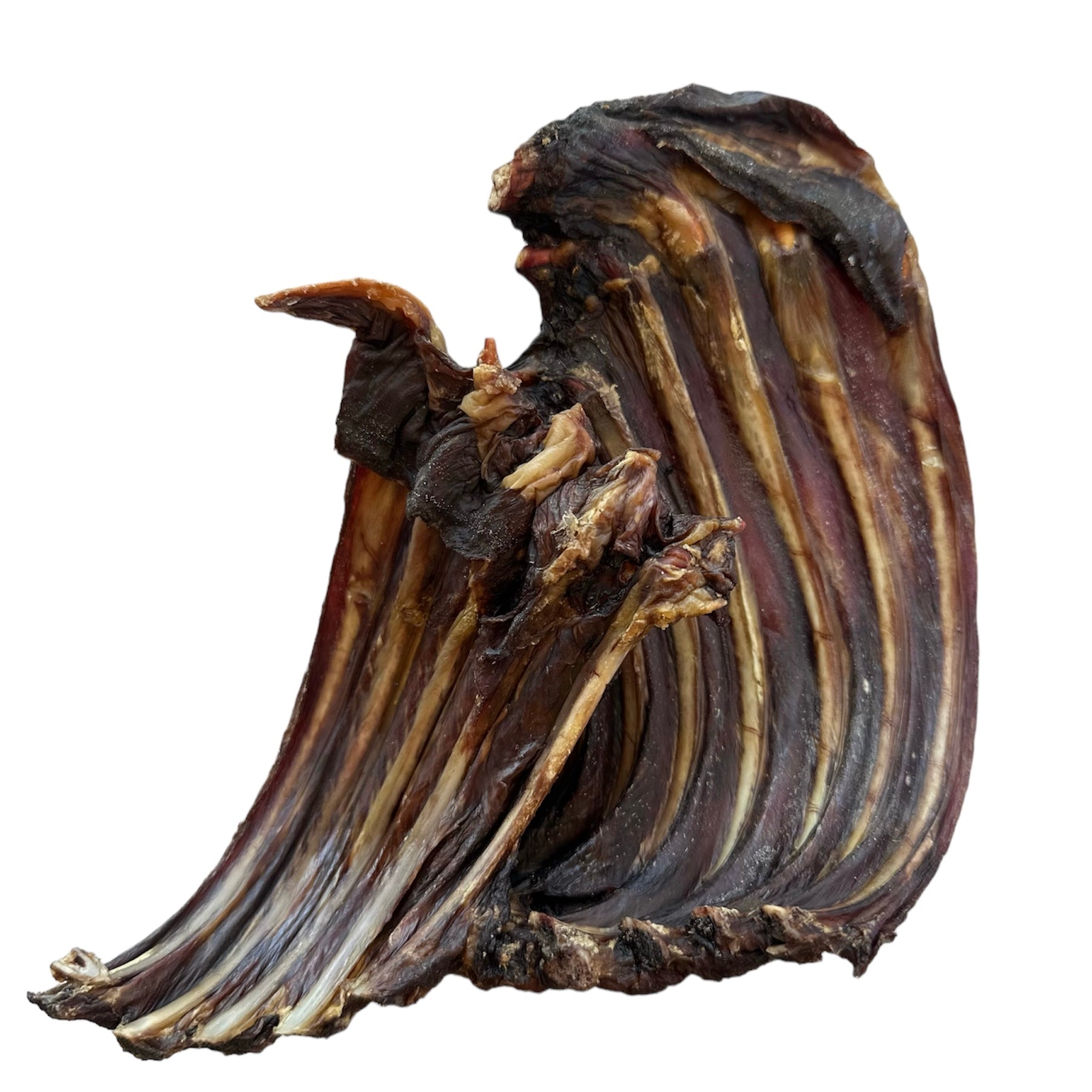 Kangaroo Ribs – Treat Treat