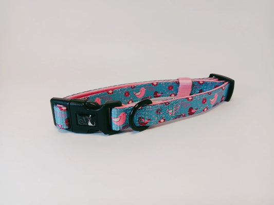 Collar - Bird