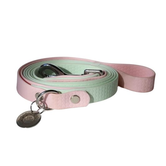 DAISY LABEL - HEXA SILICONE LEAD