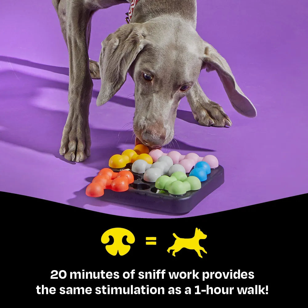 Brightkins Kanoodle Dog Edition Small Puzzle