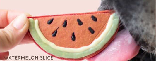 Watermelon Coomkies