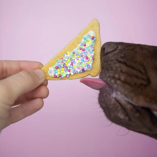 Fairy Bread Coomkies