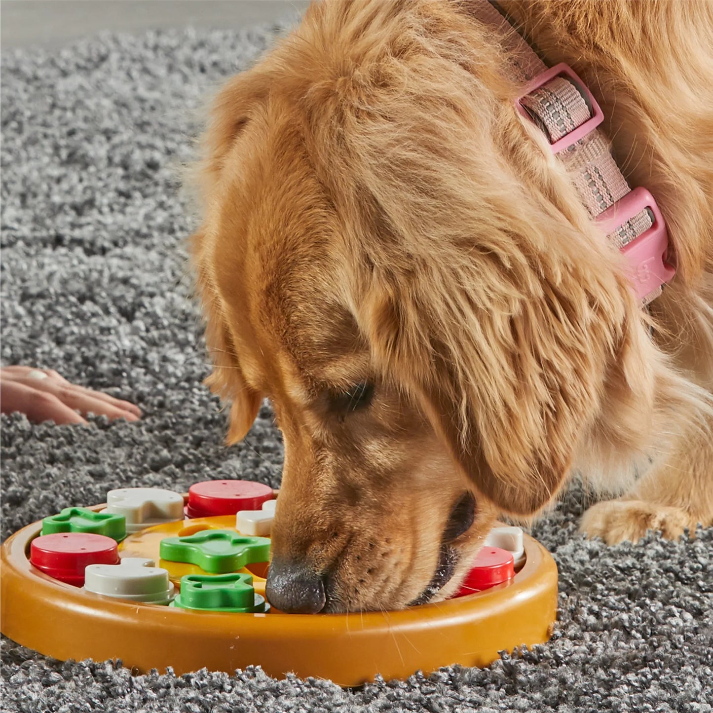Brightkins Pizza Party Interactive Puzzle