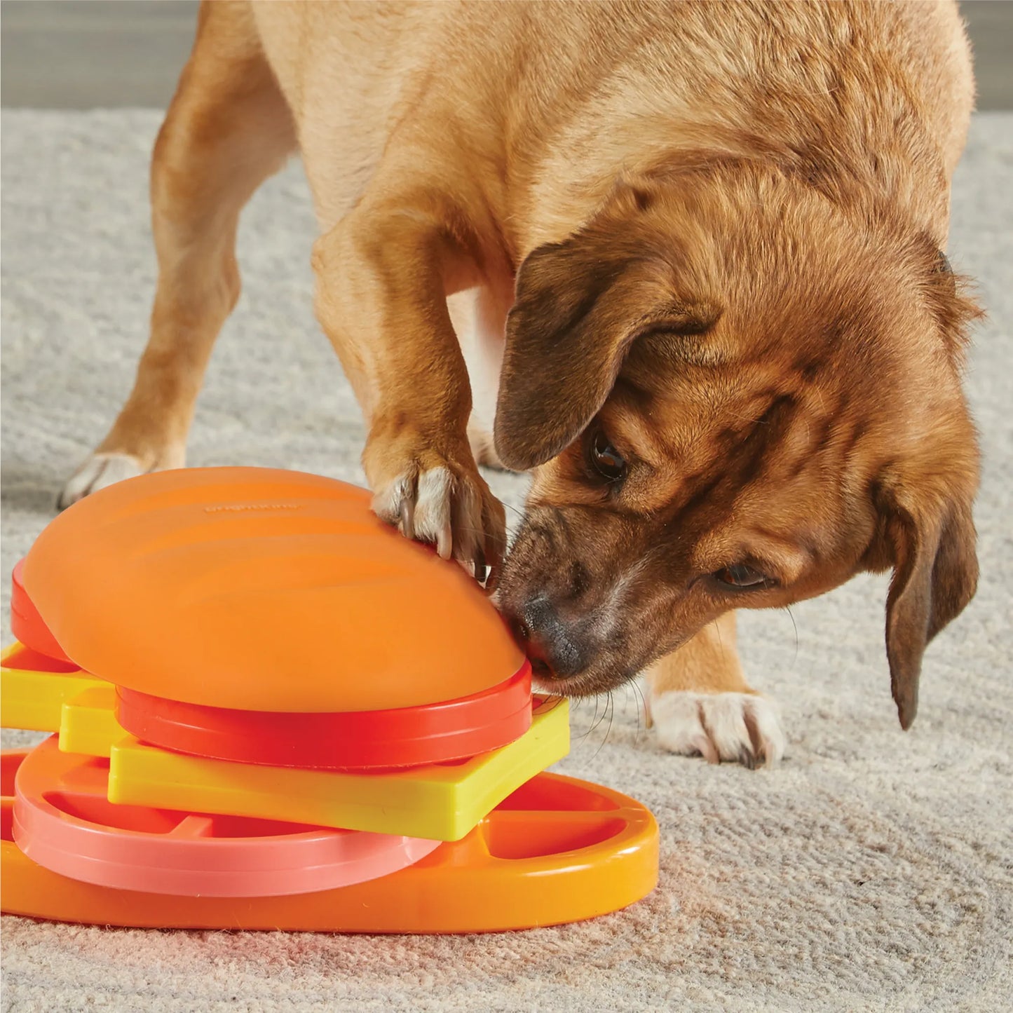 Brightkins Pupstrami Surprise Interactive Puzzle