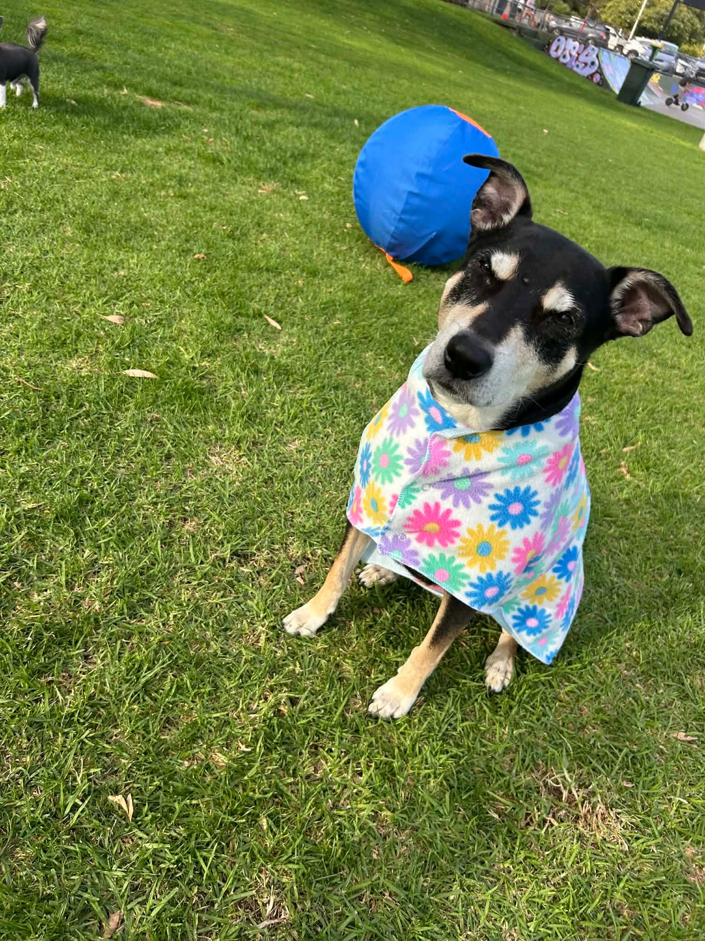 Reversible Fleece Coat By Loz