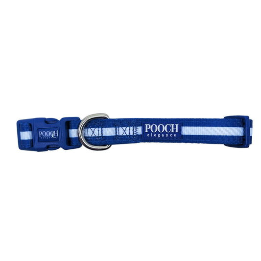 Carnival Stripe - Royal Blue Dog Collar